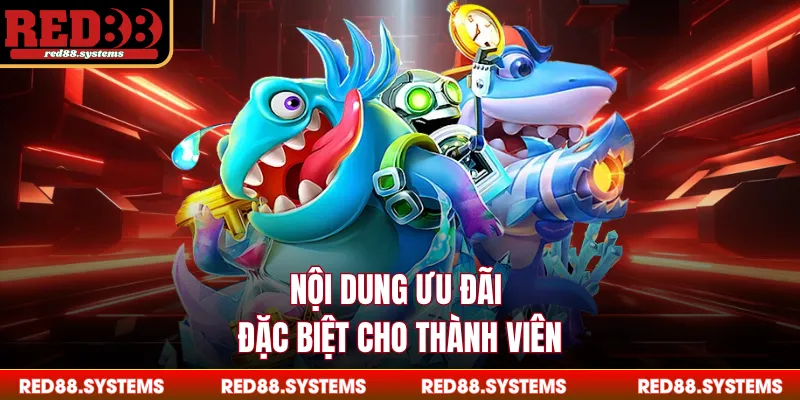 Nội dung ưu đãi đặc biệt cho thành viên